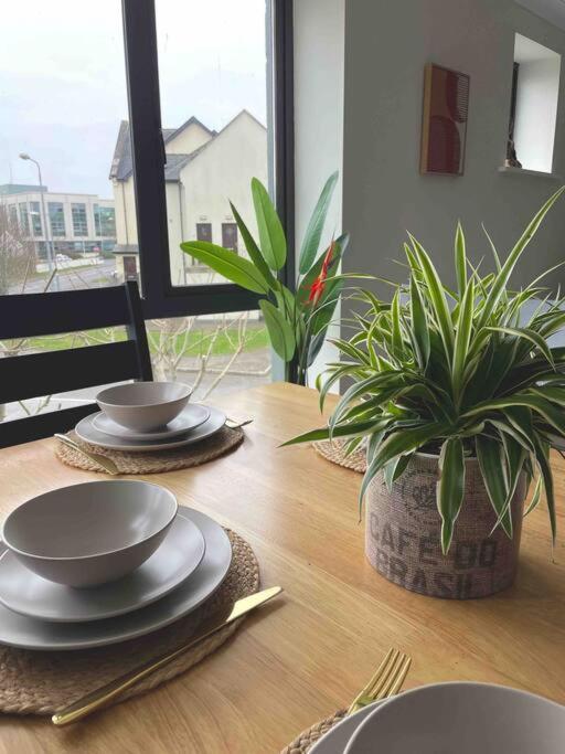 Entire , Centre Apartment Carrick on Shannon